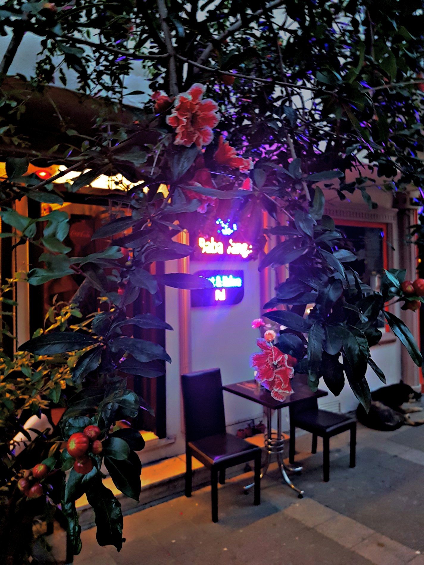kadıköy fal cafe